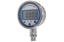 [MD100100RF1600D] 100Ø100 R 1/2"NPT 1600 bar DIG