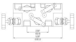 [MIPD-5V MR] MANIFOLD 5 VIAS MIPD-5V MR → SS-5R-F8-A (6000 PSI)